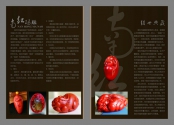 畫冊09
